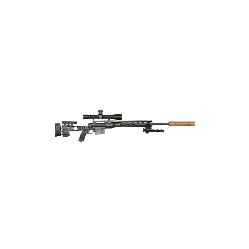 Fusil de sniper Remington XM2010